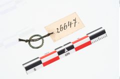 Foto von Bronzering (NHMW-PRAE-026647)